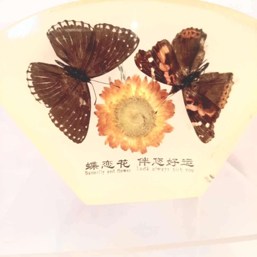 Vintage Lucite Encased Butterflies and Flower Paperweight.